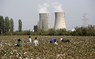 美禁新疆棉花 中國巨額出口時裝鏈斷裂