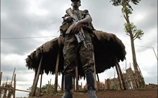 刚果政府下最后通谍 叛军拒绝解除武装