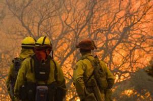 美国加州山林大火猛烈延烧迫使50多万人撤离