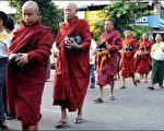 大約有上百名緬甸僧侶31日再度回到街頭示威。(法新社)