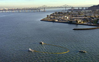 旧金山湾区轮船漏油案进入司法调查