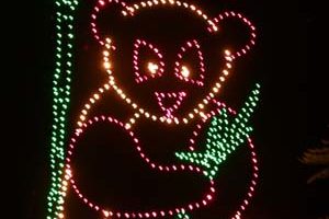 馬州各地舉行聖誕燈節展示