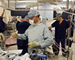 外電：澳洲人海外移植器官大多來自中國
