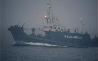 綠色和平：日本捕鯨船隊被逐出南冰洋
