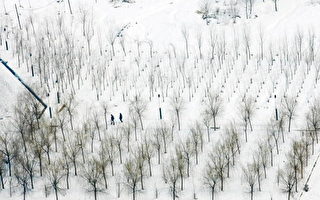 中國大雪對宏觀經濟帶來巨大壓力