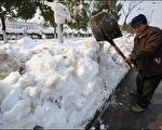 中國雪災  超過一千五百萬隻牲畜凍死
