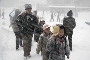 【熱點互動】大暴雪是天災還是人禍(1)