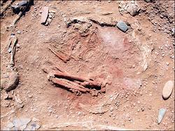法國考古學家發現非洲最古老活人祭品遺跡