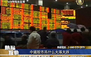 中国股市为什么大涨大跌(一)