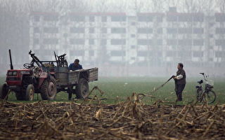 中國耕地面積銳減 接近警戒線