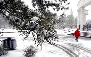 組圖：烏魯木齊遭遇罕見春季暴雪