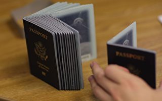 加拿大护照失窃率飙升