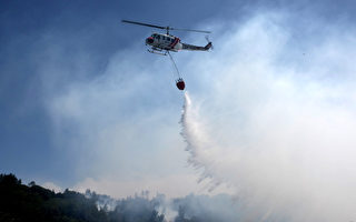 聖塔克魯茲森林大火已獲控制