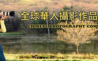 新唐人华人摄影大赛征稿三个月