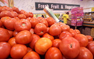 马里兰政府：州产番茄未受污染