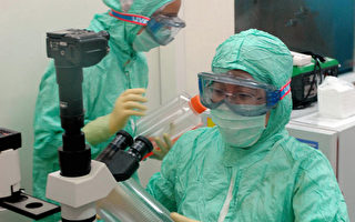 澳產禽流感疫苗獲藥管局批准