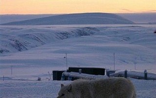 加拿大宣布野心计划  准备探北极地底下资源
