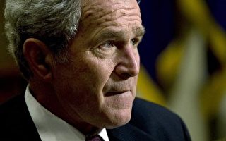 布什取消國內行程  坐鎮處理金融危機