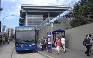 悉尼免費公車 每十分鐘環繞巴市