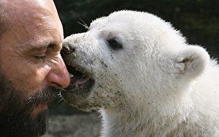 小北極熊努特「保姆爸爸」死於公寓