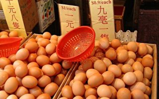 香港檢出山西、湖北雞蛋含三聚氰胺