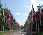联合国对中共的酷刑审查引国际广泛关注
