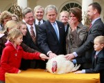 组图：感恩节前 美国总统赦免火鸡