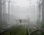(MANPREET ROMANA/AFP/Getty Images)