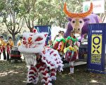 悉尼中国新年庆典拉开序幕 悉尼市长纽省长力推