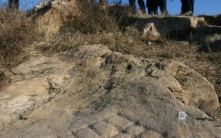 河南现8000年前岩画 上古文化依据