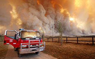 澳洲山林野火狂烧 14死