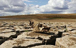 乾旱噩夢 全球暖化是主凶
