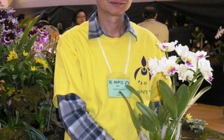 多倫多蘭花展　數千華人觀賞