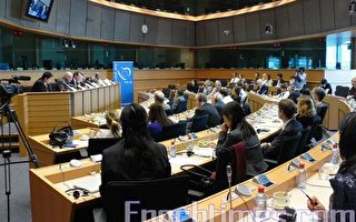 歐洲議會召開法輪功聽證會