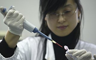兩中國公司出口污染肝素 一家對FDA說謊