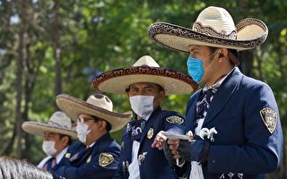 透视猪流感重创墨西哥经济的背后