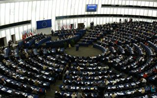 欧议会全会聚焦新疆  多方谴责人权侵犯