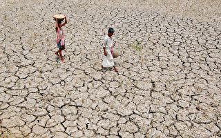 干旱影响印度一半土地 