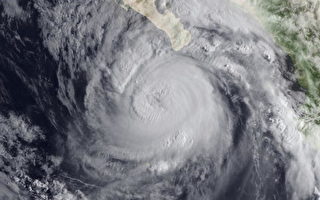 希梅娜飓风逞威 游客逃离墨西哥观光据点