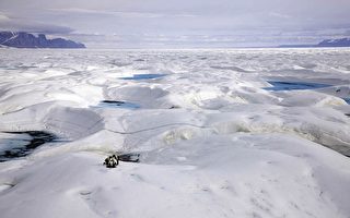 北極溫度 創2000年來新高