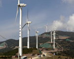 涉技术性造假 UN暂停补助中国50风电厂