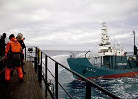 反捕鯨人士和日船於南極洋起衝突