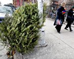 節日勿忘環保——請回收您的聖誕樹