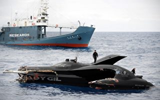鯨魚戰爭 日紐官員討論責任歸屬
