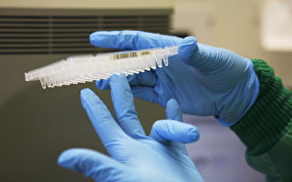 新DNA測試法辨認罪犯