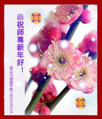 組圖：華北地區法輪功學員恭祝創始人新年快樂（逾210地）