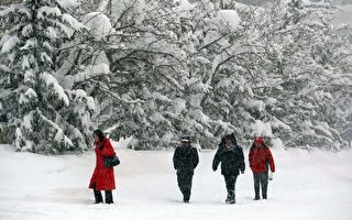 新疆暴雪12万人受灾7人死于雪崩