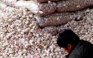 卫报：中国土质恶化 恐爆食物短缺危机