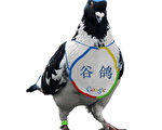 谷歌公司2009年4月1日曾宣布提供「谷鴿鳥看」服務。（網絡圖片）