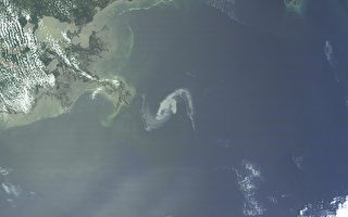 墨西哥灣漏油威脅美國四大州海岸線